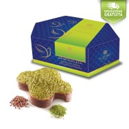 Colomba Sal De Riso al pistacchio 1KG