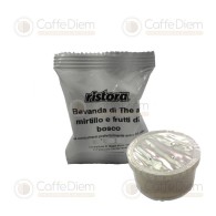 Ristora Capsule Compatibili Espresso Point Tè Frutti Bosco |Caffè Diem